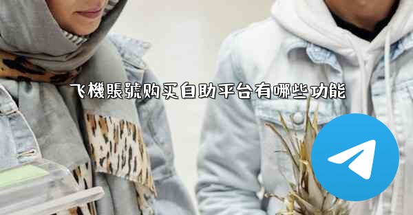 飞機賬號购买自助平台有哪些功能