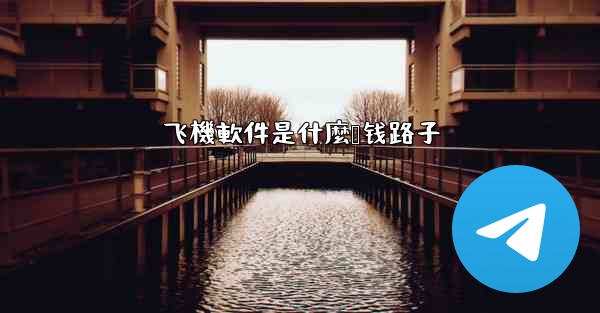 飞機軟件是什麼赚钱路子
