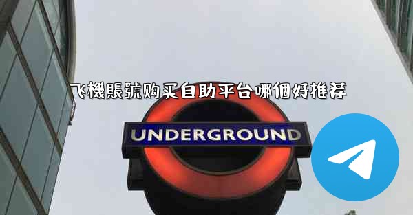 飞機賬號购买自助平台哪個好推荐