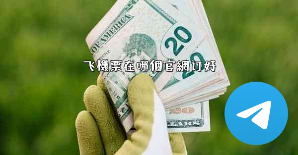 飞機票在哪個官網订好