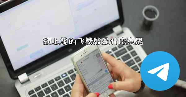 網上說的飞機號是什麼意思