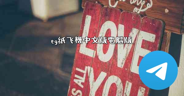 tg纸飞機中文版電腦版