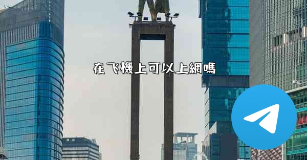 在飞機上可以上網嗎