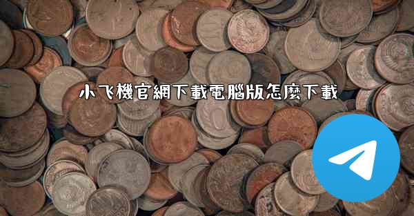 小飞機官網下載電腦版怎麼下載