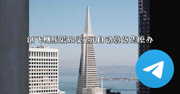 纸飞機賬號购买2元自动發货怎麼办