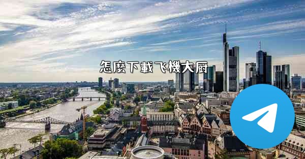 怎麼下載飞機大厨