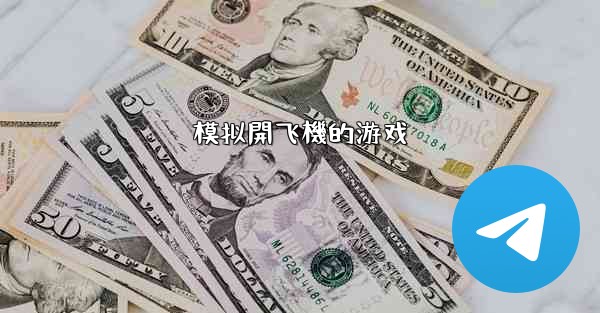 模拟開飞機的游戏