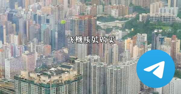 飞機賬號购买