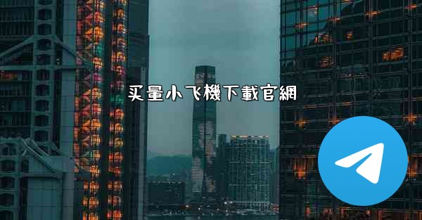 买量小飞機下載官網