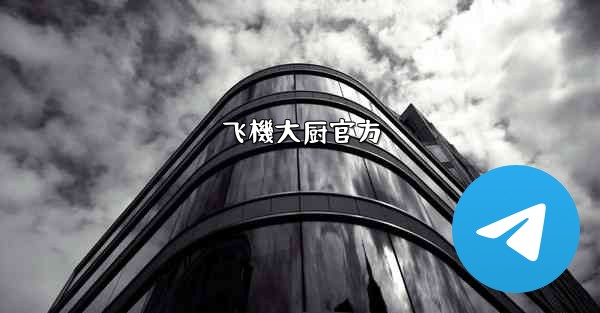 飞機大厨官方