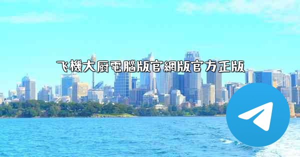 飞機大厨電腦版官網版官方正版