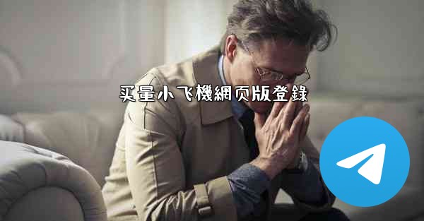 买量小飞機網页版登錄