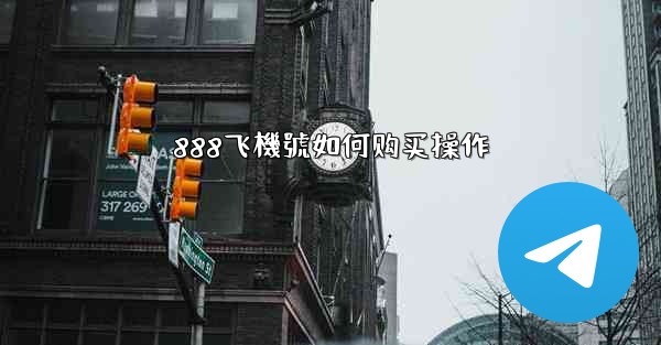 888飞機號如何购买操作