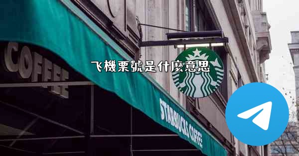 飞機票號是什麼意思