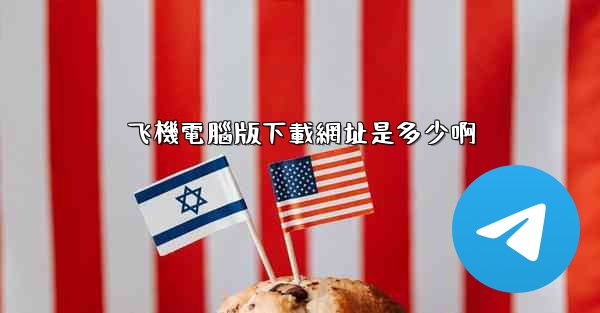 飞機電腦版下載網址是多少啊