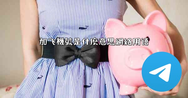 加飞機號是什麼意思網絡用语