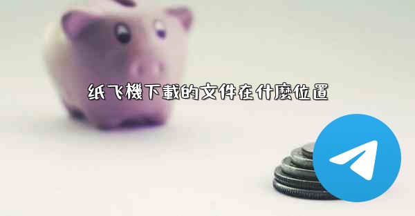 纸飞機下載的文件在什麼位置