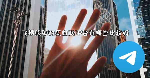 飞機賬號购买自助平台有哪些比较好