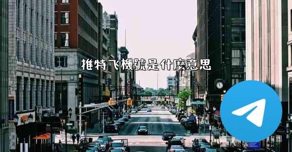 推特飞機號是什麼意思