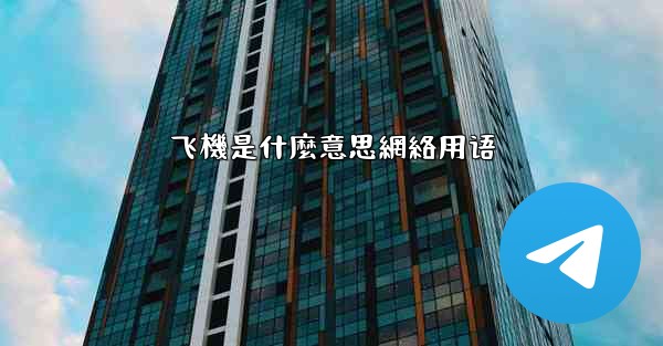 飞機是什麼意思網絡用语