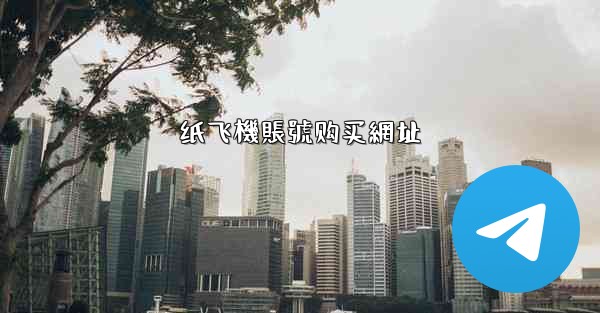 纸飞機賬號购买網址