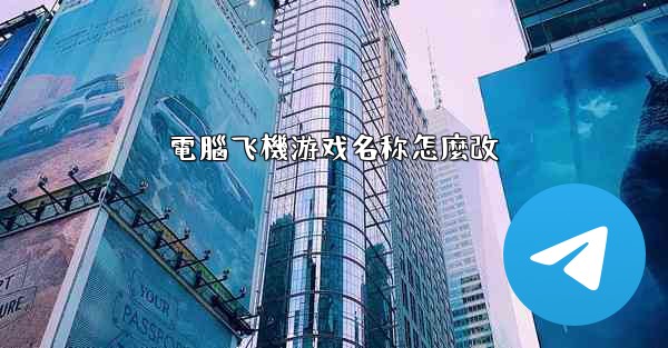 電腦飞機游戏名称怎麼改