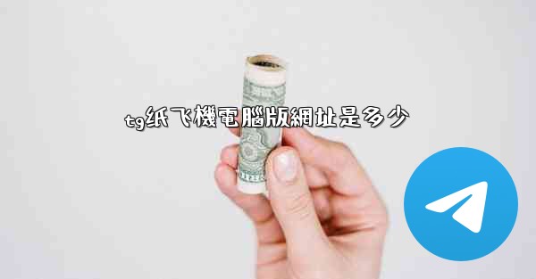 tg纸飞機電腦版網址是多少