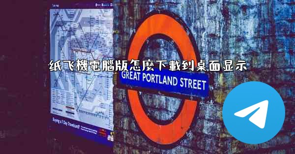 纸飞機電腦版怎麼下載到桌面显示