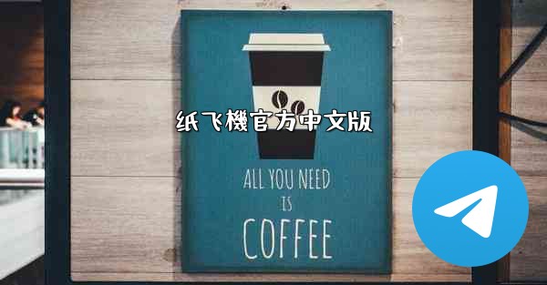 纸飞機官方中文版