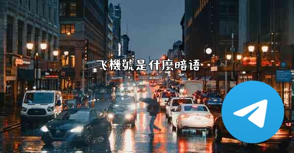 飞機號是什麼暗语