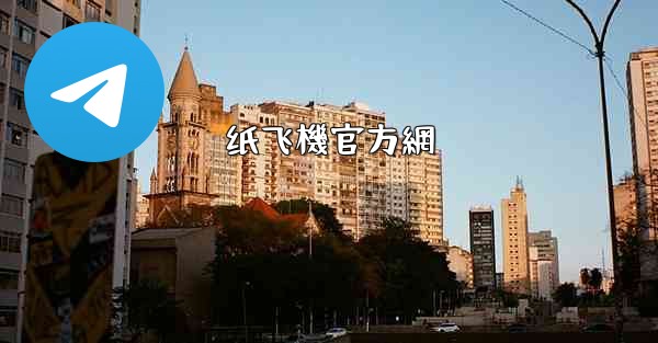 纸飞機官方網
