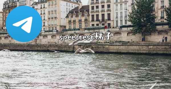 speedtest梯子