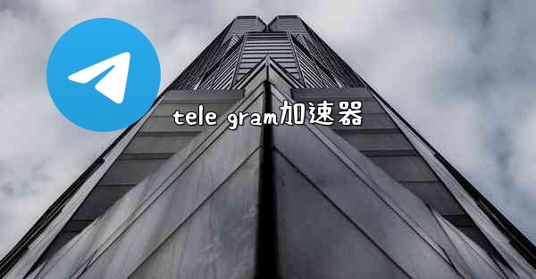 tele gram加速器