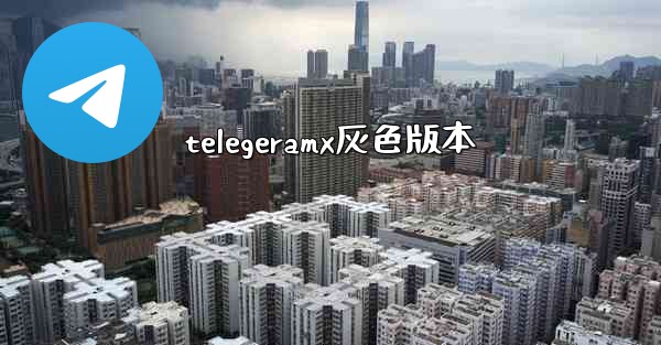 telegeramx灰色版本