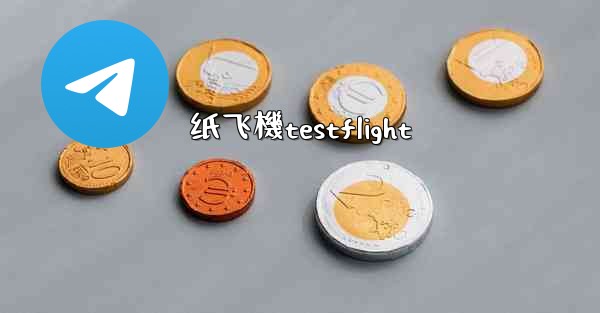 纸飞機testflight
