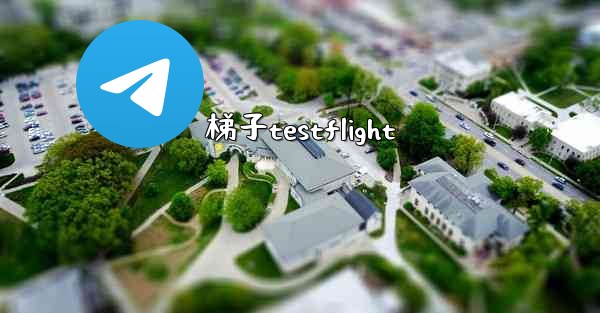 梯子testflight