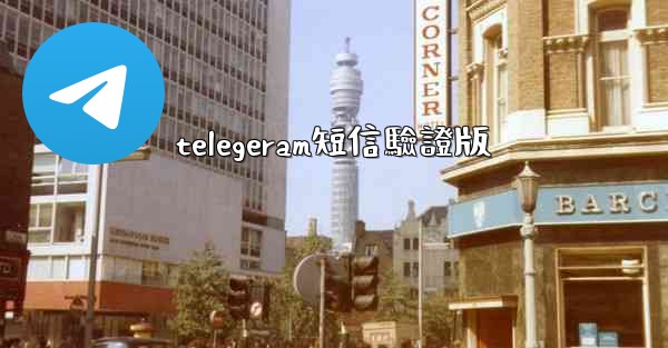 telegeram短信驗證版