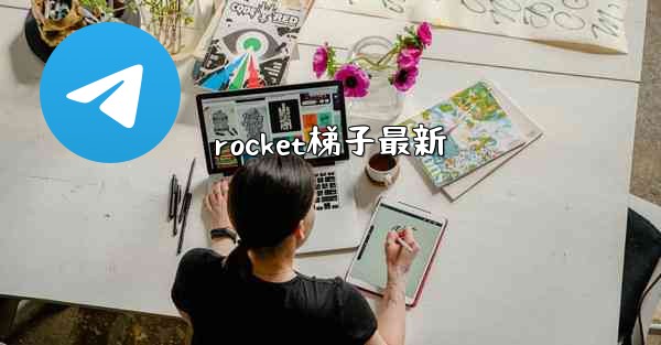 rocket梯子最新