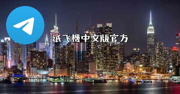 纸飞機中文版官方