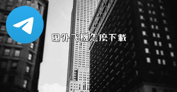 國外飞機怎麼下載