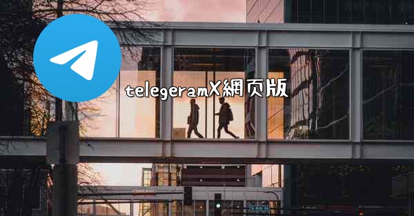 telegeramX網页版