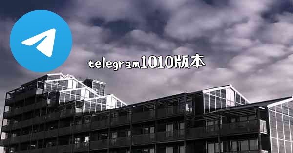 telegram1010版本
