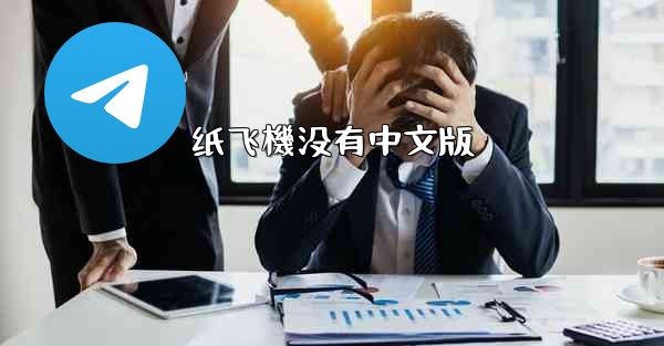 纸飞機没有中文版