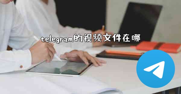 telegram的视频文件在哪