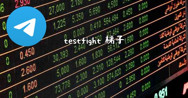 testfight 梯子