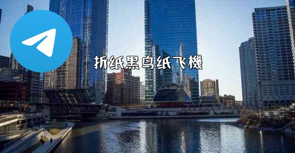 折纸黑鸟纸飞機