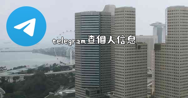 telegram查個人信息