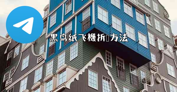 黑鸟纸飞機折叠方法