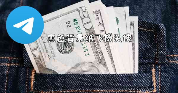 黑色背景纸飞機头像