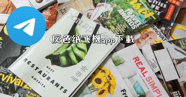 灰色纸飞機app下載